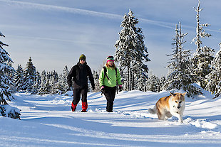 Winterwanderungen im Bayerischen Wald